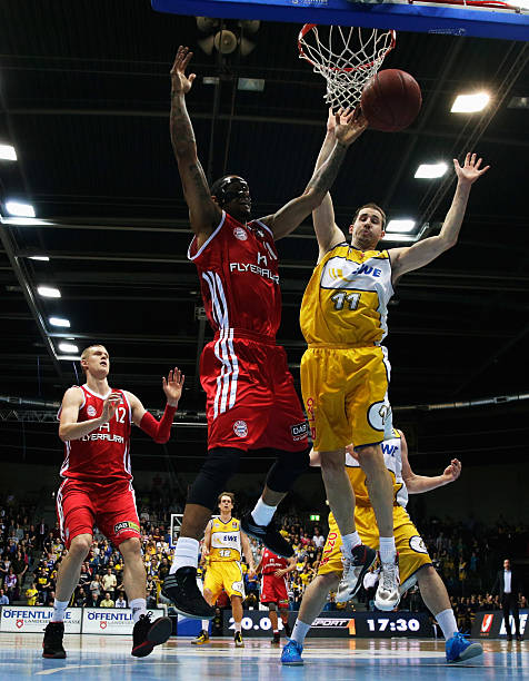 新任主教练 新任主教练